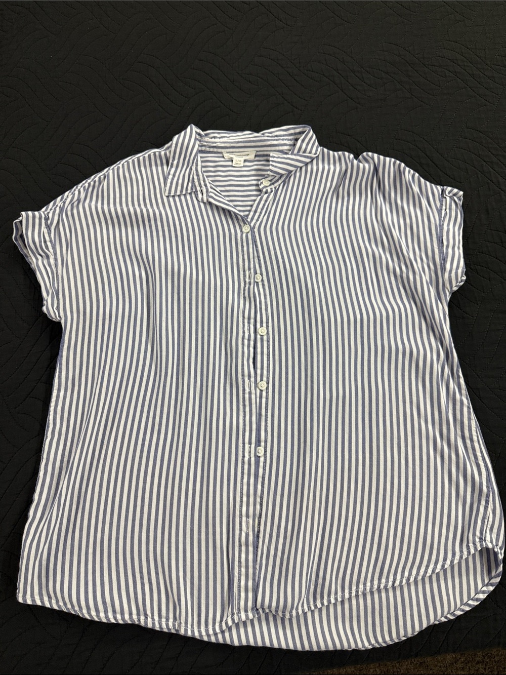 beachlunchlounge Blue and White Vertical Stripe Short-Sleeve Button Shirt